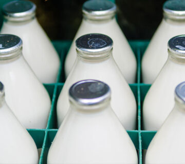 دستگاه بسته بندی لبنیات خانگی